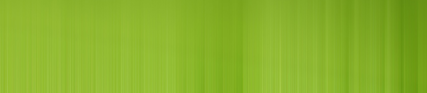 Web漏洞扫描工具